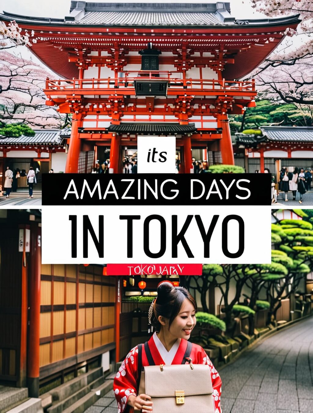 1 week tokyo japan itinerary