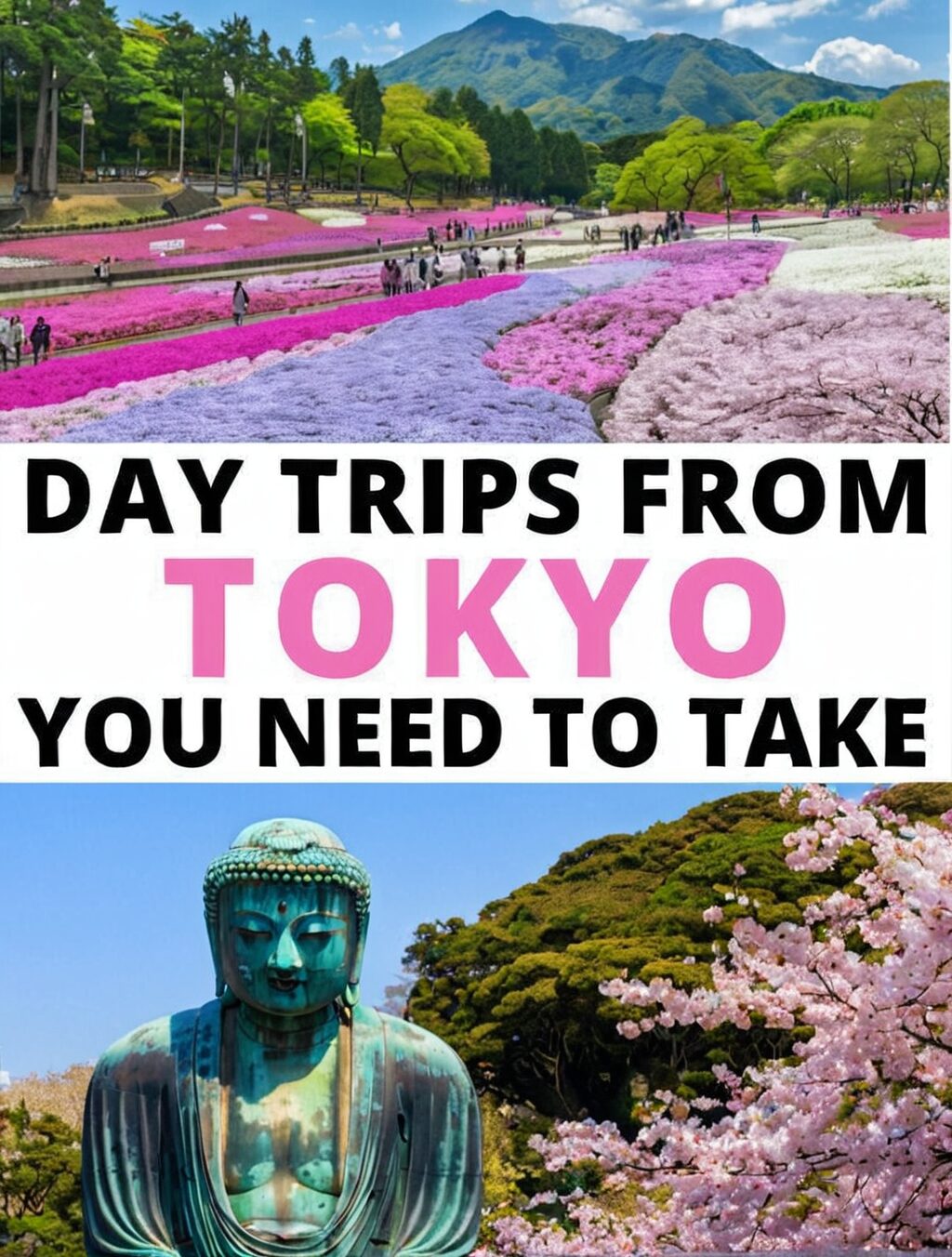 all inclusive trips to tokyo japan
