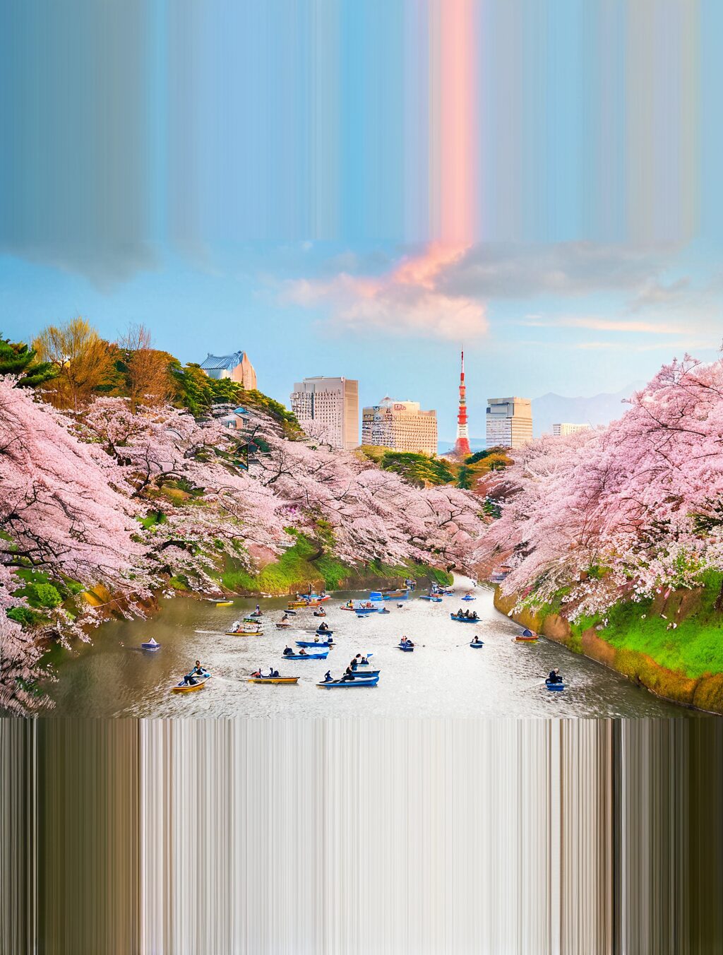 best time to visit japan for sakura