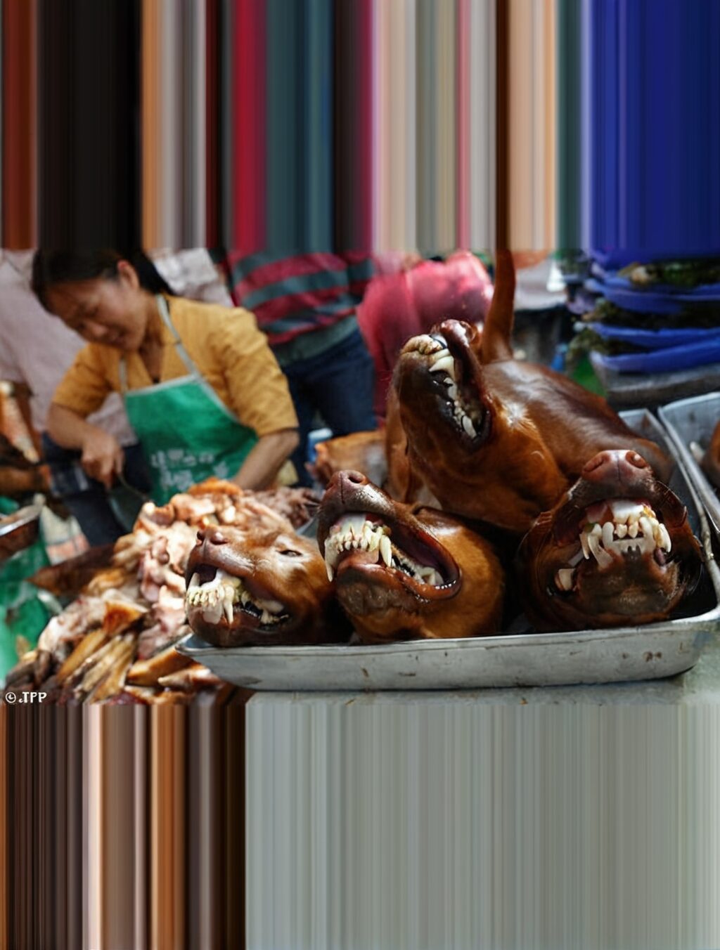 does japan eat dog meat