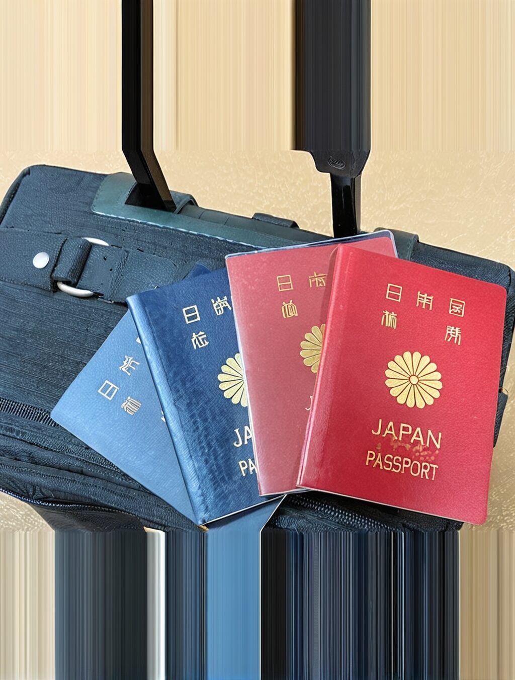 how much time left on passport to travel to japan