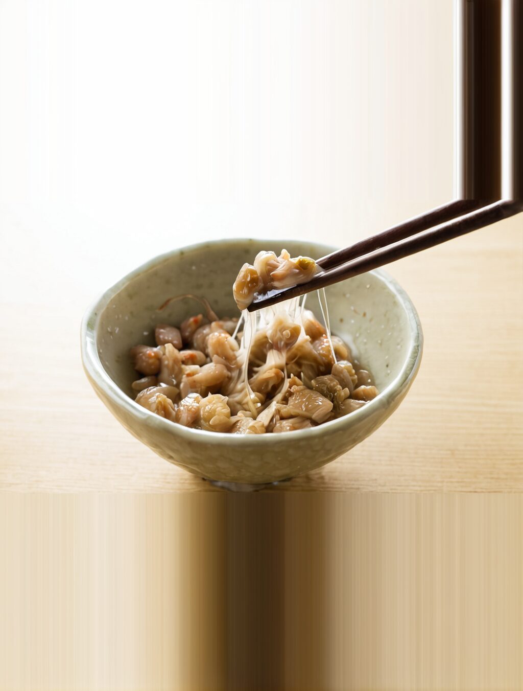 japan fermented food