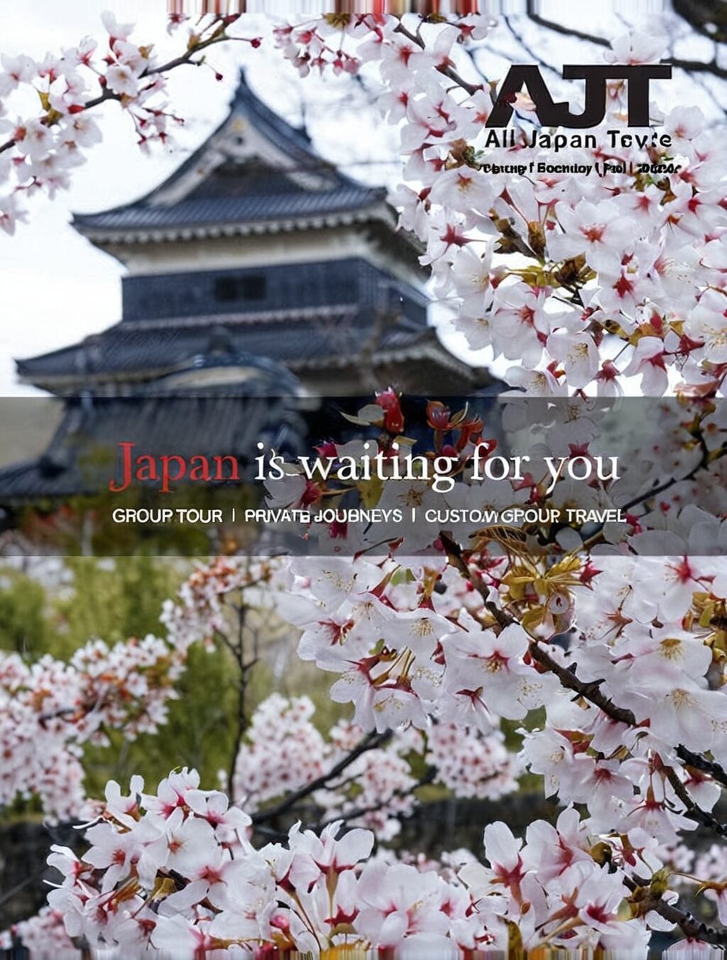 japan travel february 2024