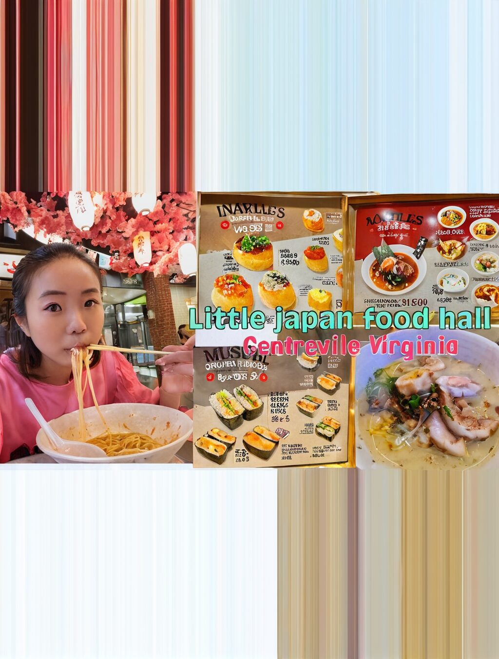 little japan food hall centreville va