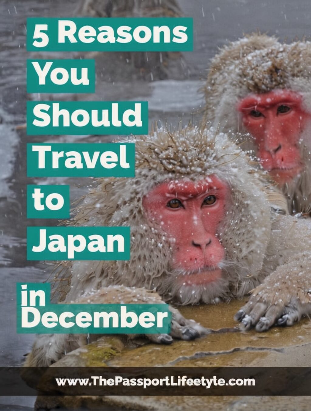 should you visit japan in december