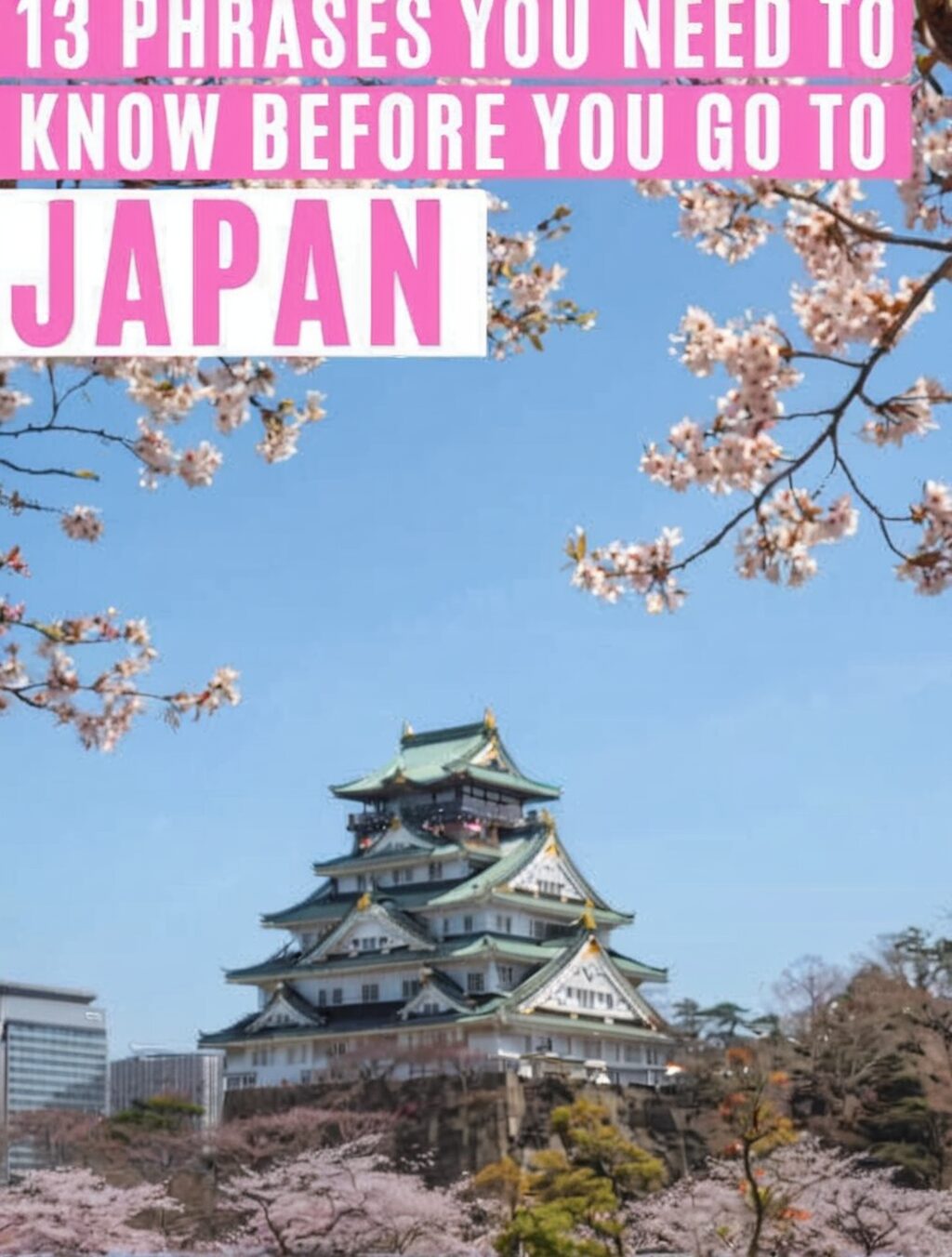 what do you need to know when traveling to japan