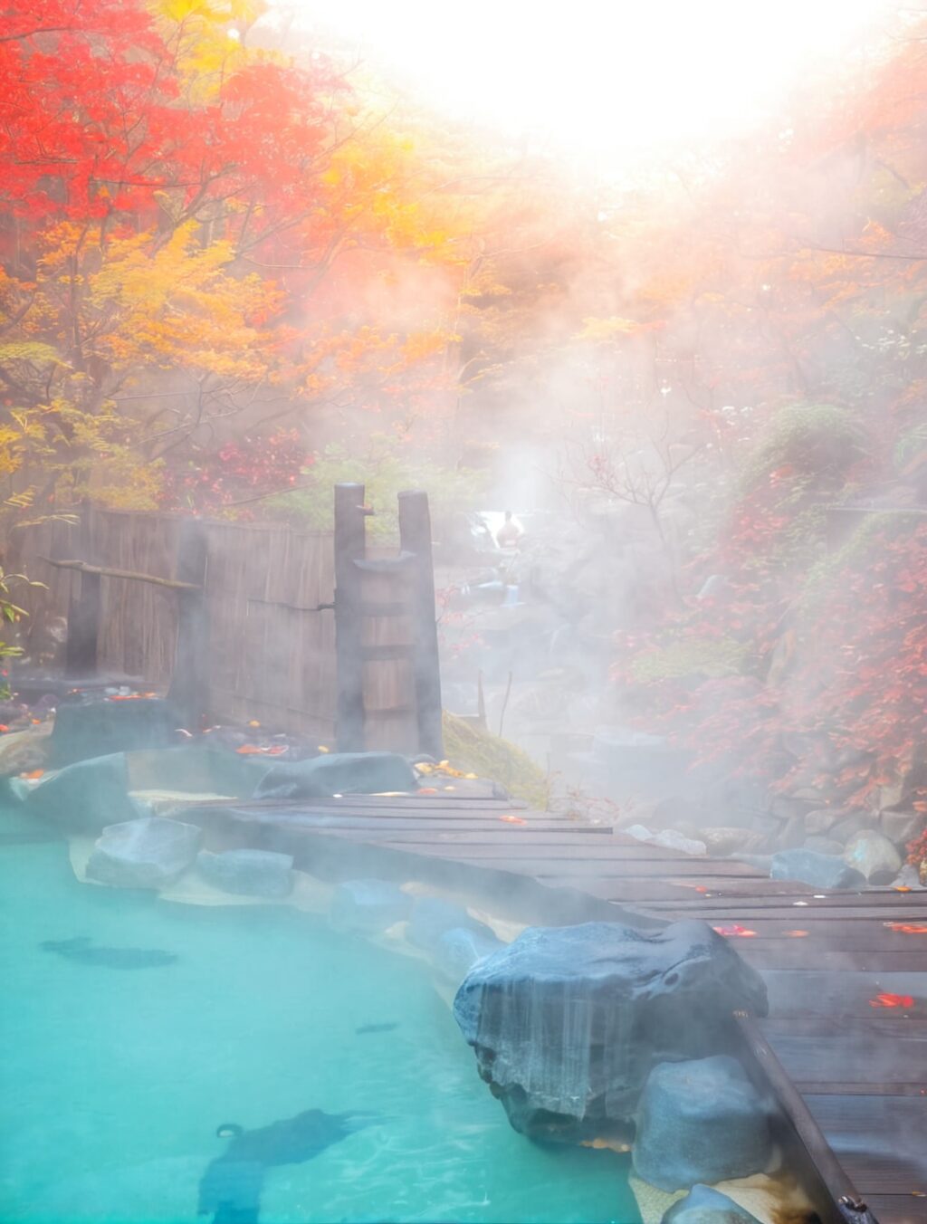 what is a japanese onsen like