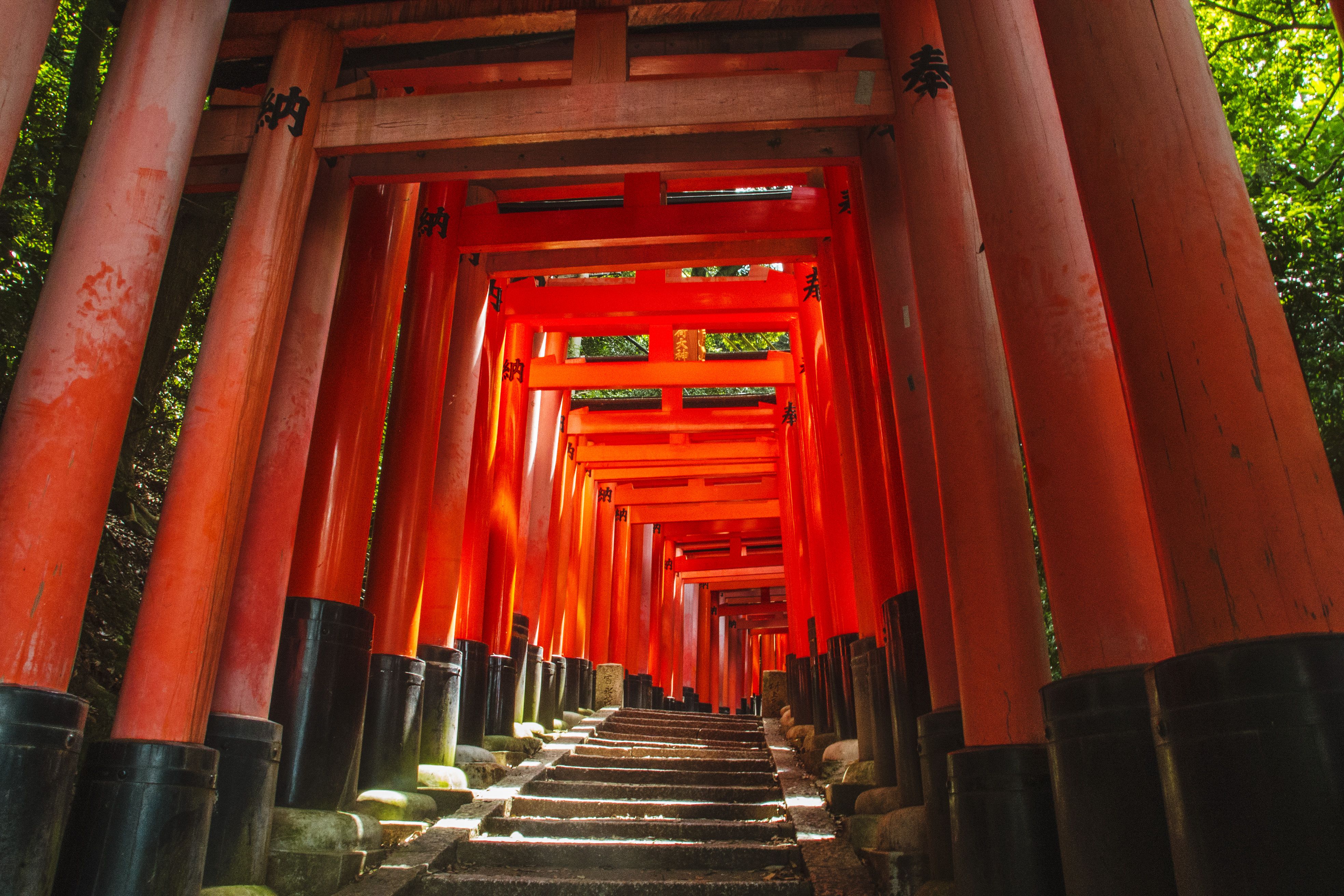 Japan's Fushimi Inari Shrine: The Complete Guide