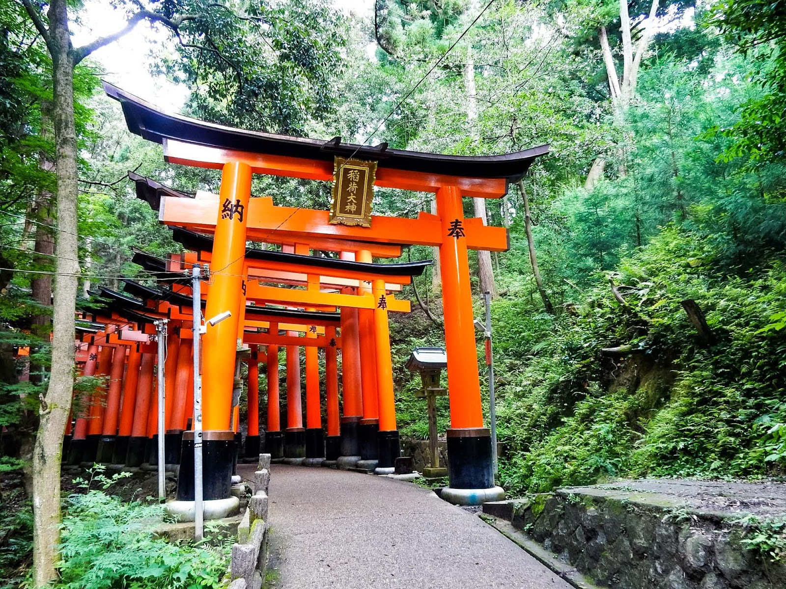 A Guide To Fushimi Inari-Taisha Temple - Explore Shaw