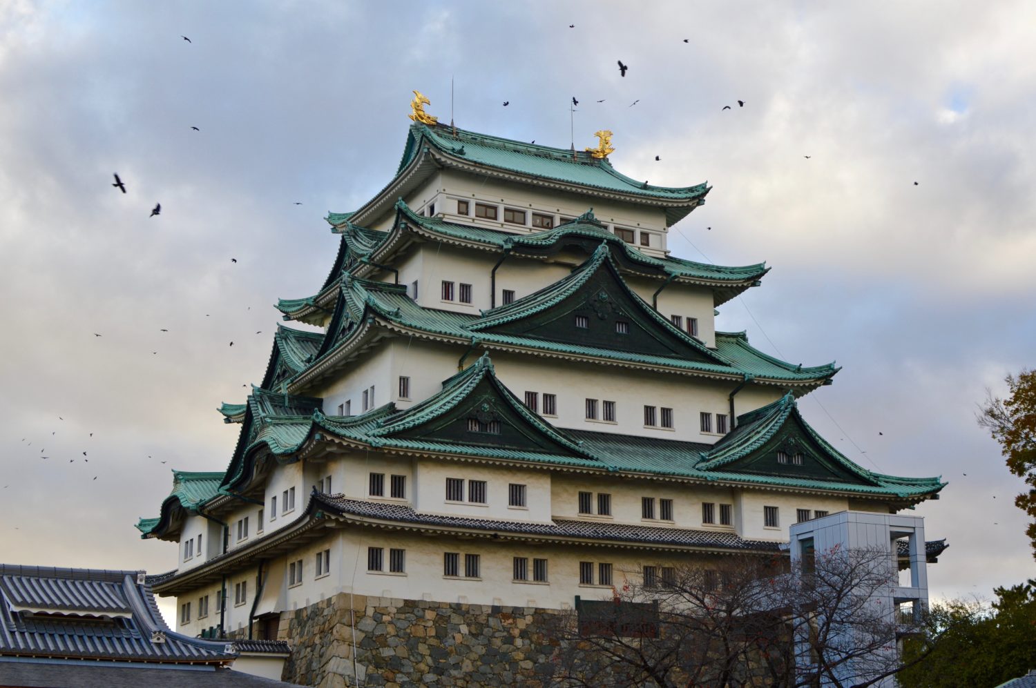 Things to Do in Nagoya: Japan's Incredible Nagoya Castle