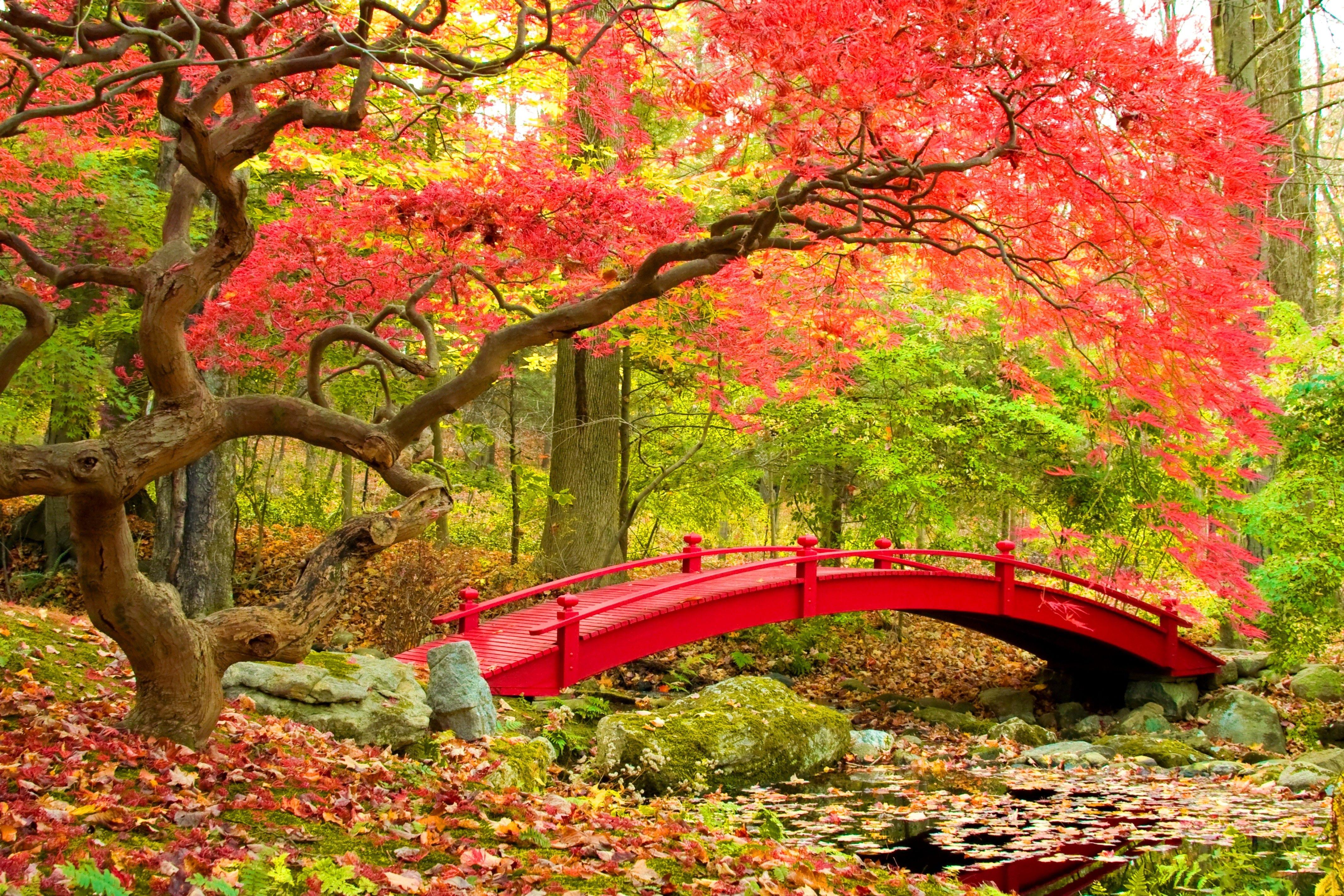 Japanese Nature Wallpapers - Top Free Japanese Nature Backgrounds ...