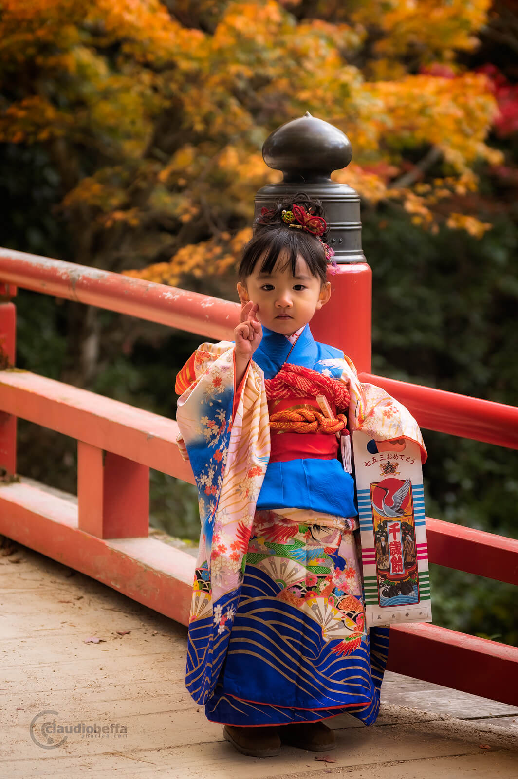 Japanese Autumn Dresses