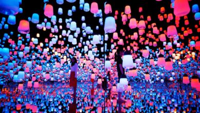 Everything You Need To Know about teamLab Planets