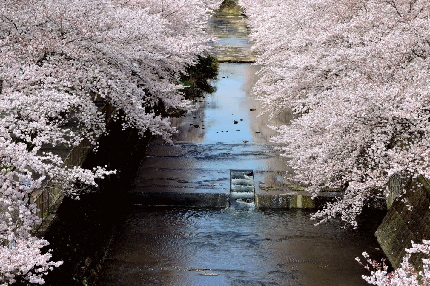 Exploring the Scenic Route: Traveling from Tokyo to Machida