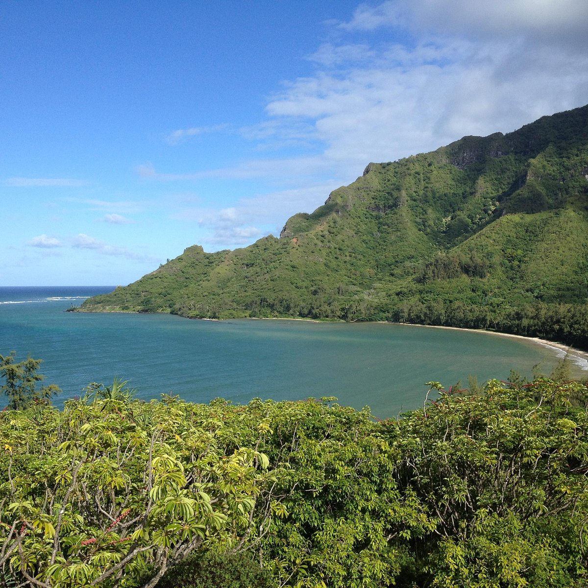 Kahana Bay Beach Park (Oahu) - All You Need to Know BEFORE You Go