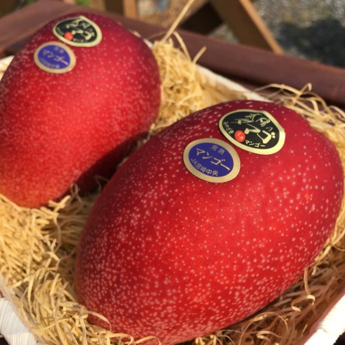 5 Most Expensive Fruits That Are Made in Japan | All About Japan