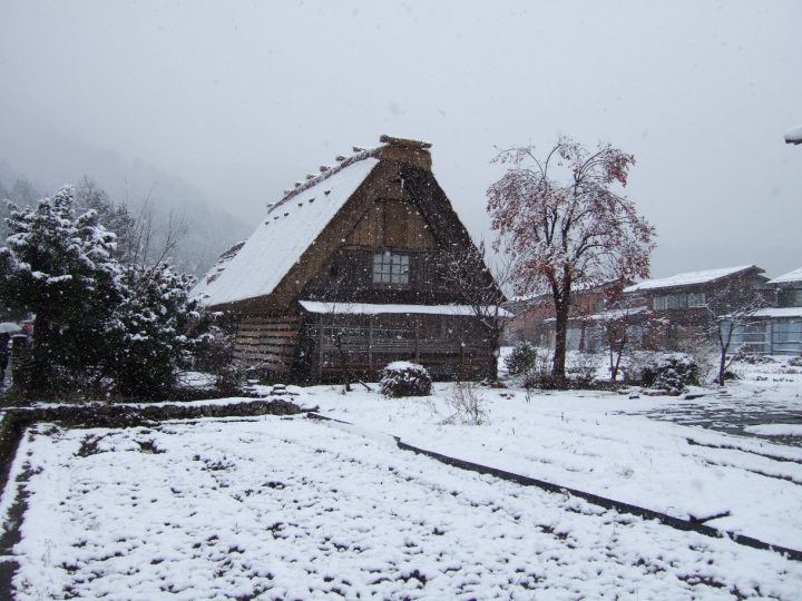 A guide to Japan's Yaeyama islands in winter | InsideJapan Tours