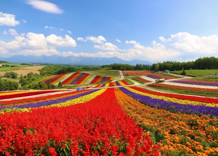 hokkaido japan