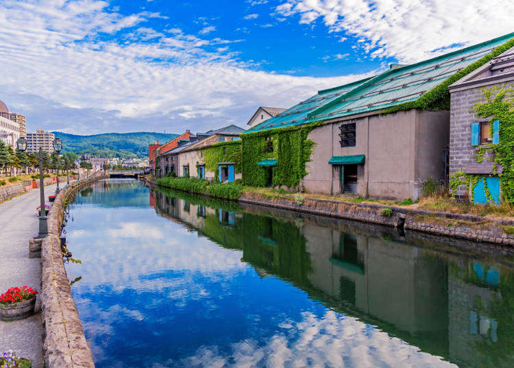 A Culinary Journey Through Hokkaido Japan