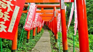 A Spiritual Journey to Sasuke Inari Shrine Kamakura