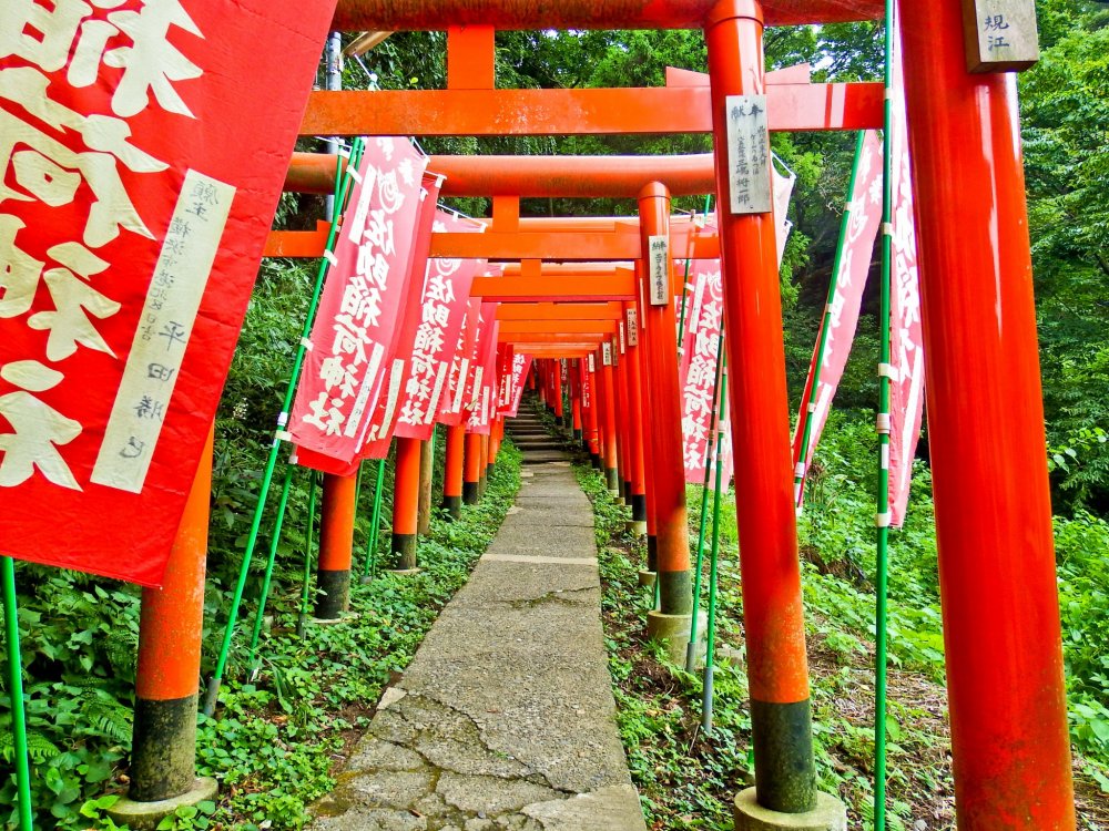 A Spiritual Journey to Sasuke Inari Shrine Kamakura