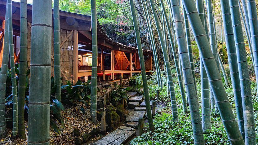 hokokuji temple kamakura