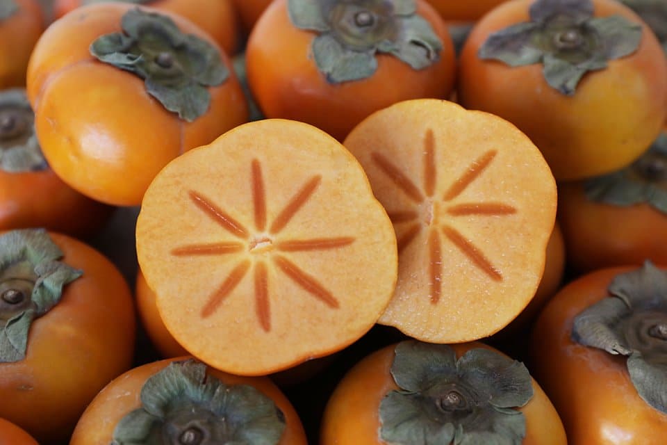 Persimmons: The National Fruit of Japan - Ikeda Spa Singapore