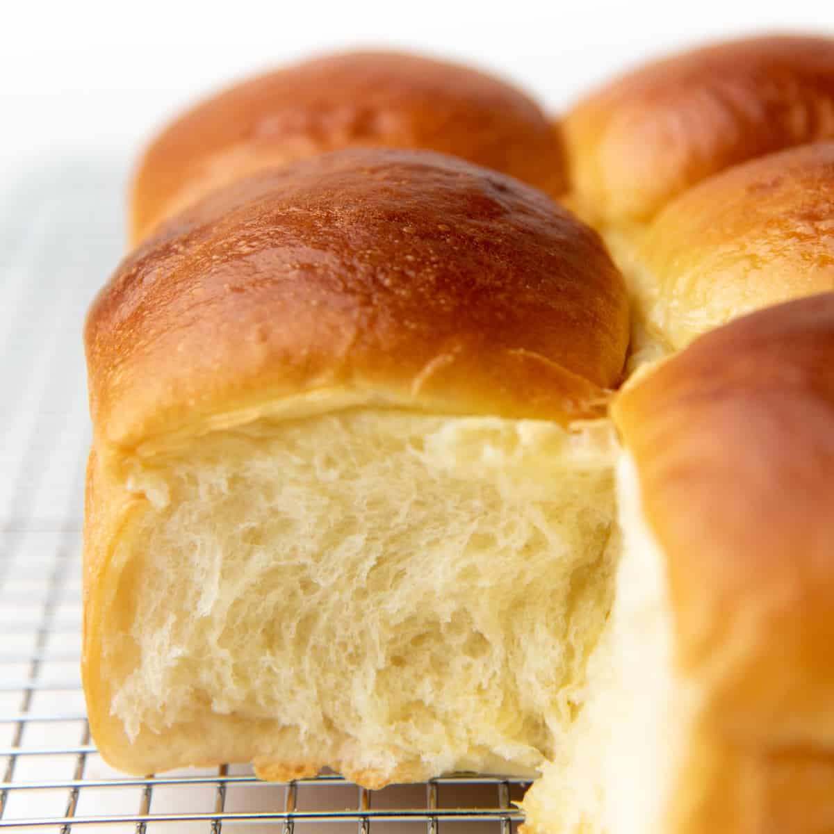 hokkaido milk bread