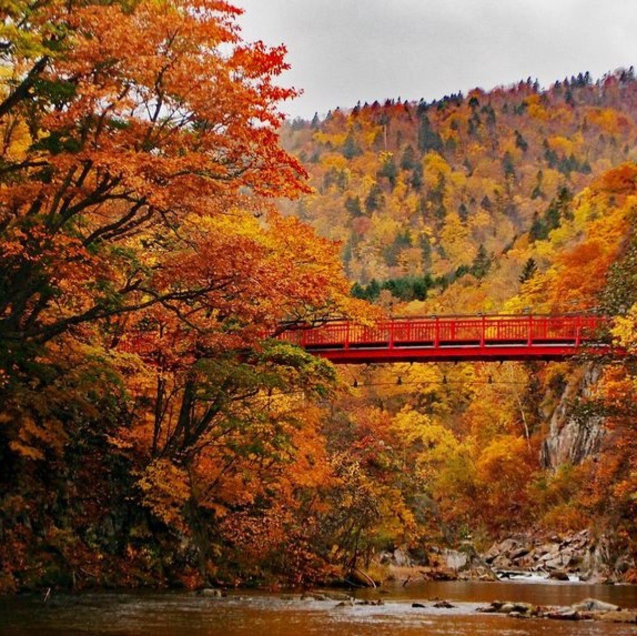 When to see the autumn foliage in Hokkaido | Vacation Niseko Blog