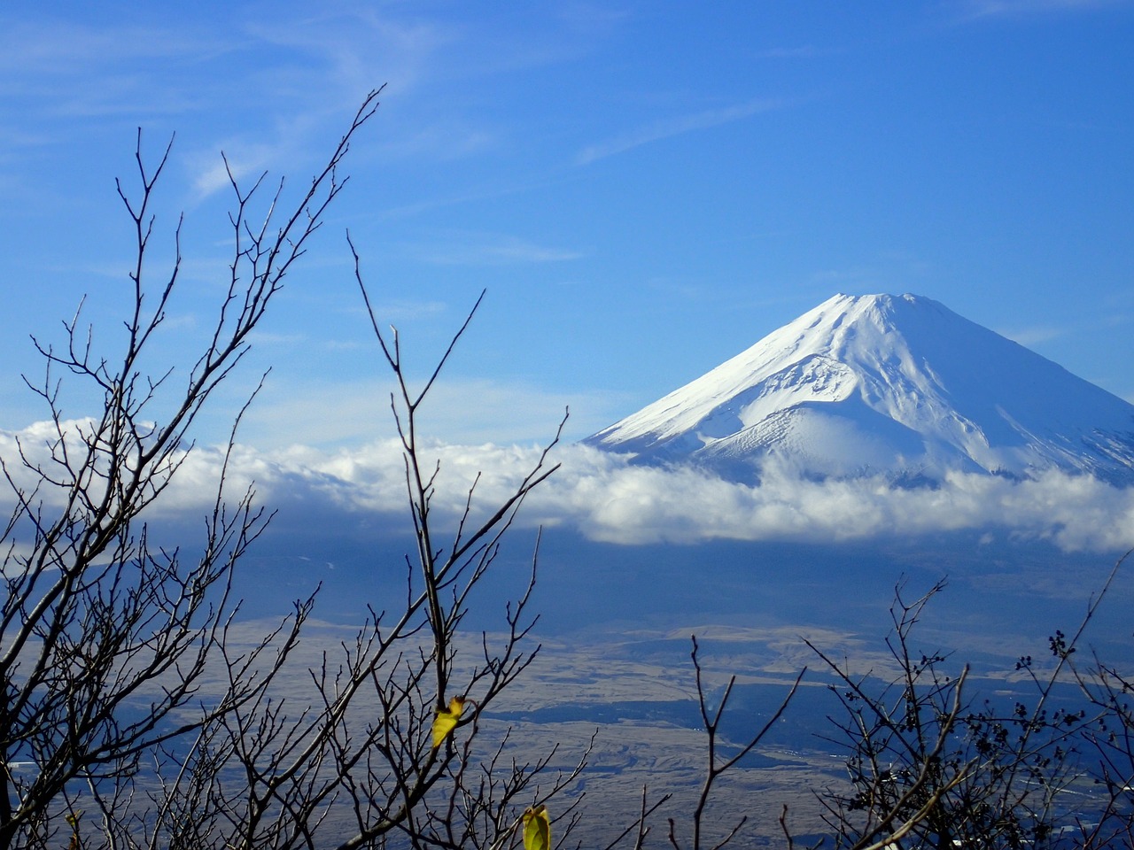 Exploring Hakone and Lake Ashi: A Family Adventure!