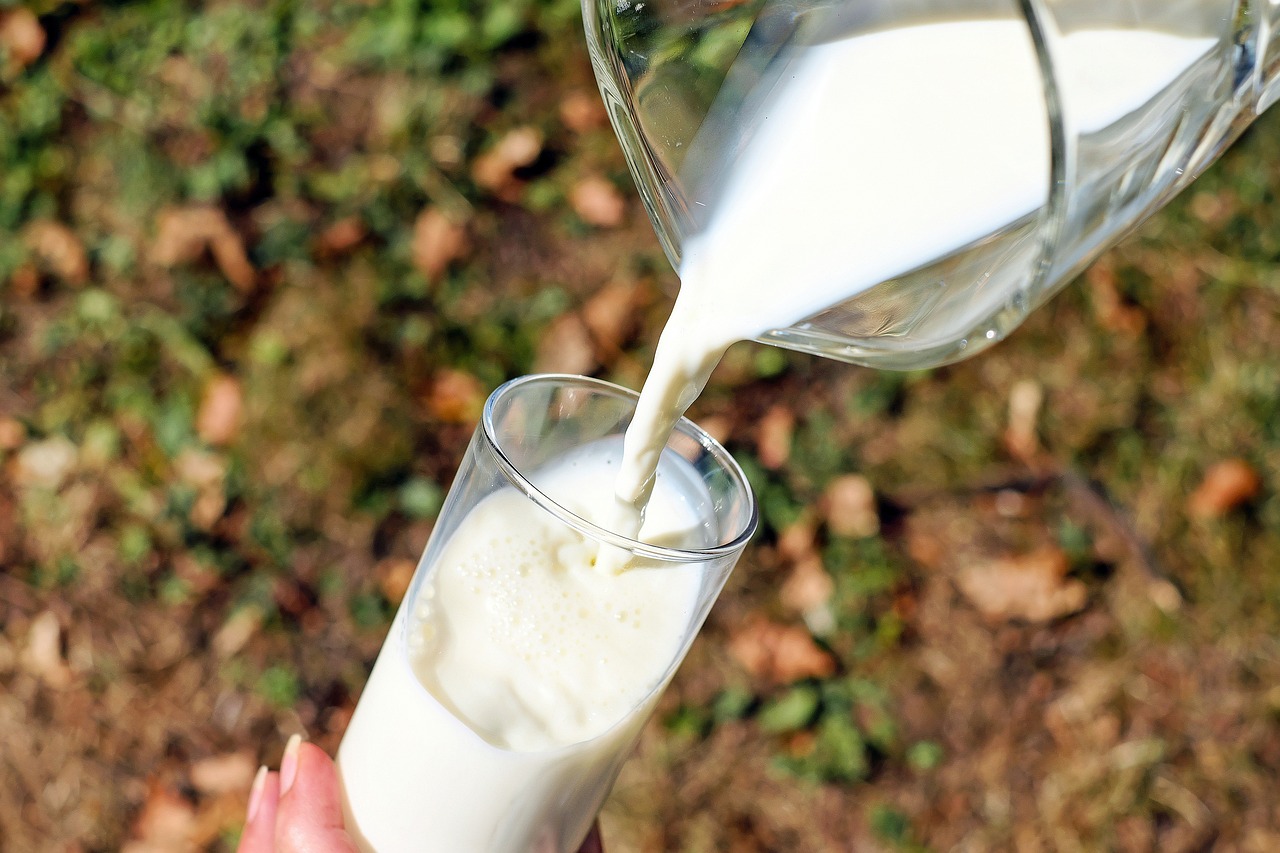 Your Ultimate Guide to Milk and Juice in Japan